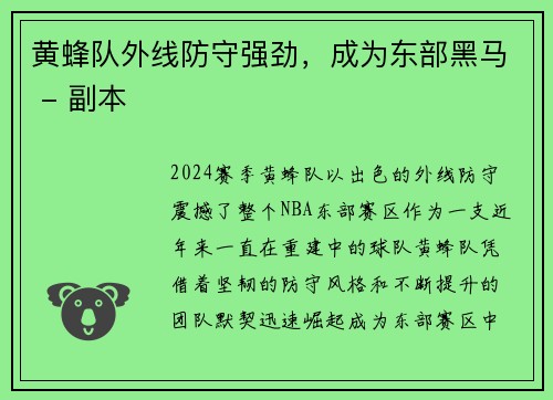 黄蜂队外线防守强劲，成为东部黑马 - 副本