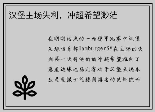 汉堡主场失利，冲超希望渺茫