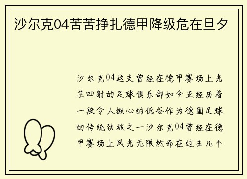 沙尔克04苦苦挣扎德甲降级危在旦夕