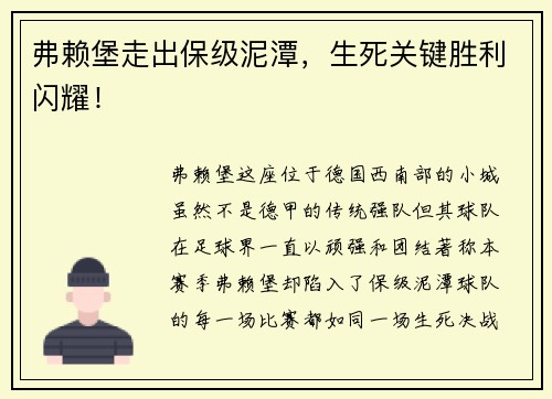 弗赖堡走出保级泥潭，生死关键胜利闪耀！
