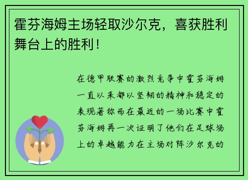 霍芬海姆主场轻取沙尔克，喜获胜利舞台上的胜利！