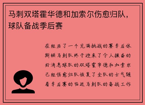 马刺双塔霍华德和加索尔伤愈归队，球队备战季后赛