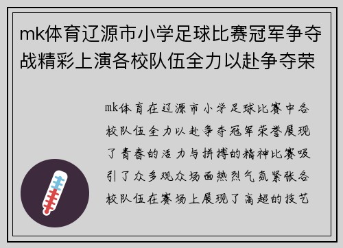 mk体育辽源市小学足球比赛冠军争夺战精彩上演各校队伍全力以赴争夺荣誉